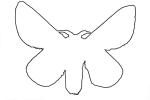 Rosy Maple Moth outline, line drawing, shape
