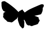 Moth silhouette, logo, shape, OECV03P07_16M