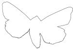 Moth outline, line drawing, shape, OECV03P07_16O