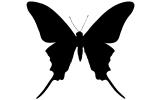 Butterfly silhouette, logo, shape, OECV03P07_17M