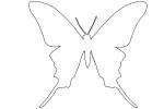Butterfly outline, line drawing, shape, OECV03P07_17O