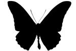 Butterfly silhouette, logo, shape, OECV03P07_19M