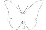 Butterfly, outline, line drawing, shape, OECV03P07_19O