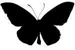 Butterfly silhouette, logo, shape, OECV03P08_01M