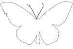 Butterfly, outline, line drawing, shape, OECV03P08_01O