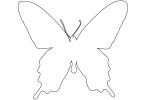 Butterfly, outline, line drawing, shape, OECV03P08_02O