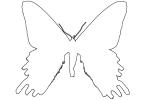 Madagascan sunset moth outline, line drawing, shape, (Chrysiridia ripheus), Uraniidae, OECV03P08_05O