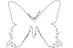 Madagascan sunset moth outline, line drawing, shape, (Chrysiridia ripheus), Uraniidae, OECV03P08_06O
