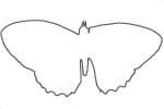 Butterfly outline, line drawing, shape, OECV03P08_07O