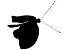 Butterfly silhouette, logo, shape, OECV03P12_07M