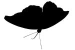 Butterfly silhouette, logo, shape, OECV03P12_19M