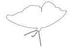 Butterfly outline, line drawing, shape, OECV03P12_19O