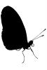 Butterfly silhouette, logo, shape, OECV03P13_03M