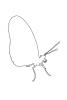 Butterfly, outline, line drawing, shape, OECV03P13_03O