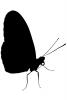Butterfly silhouette, logo, shape, OECV03P13_06M