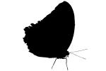 Butterfly silhouette, logo, shape, OECV04P01_01M