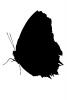 Butterfly silhouette, logo, shape, OECV04P01_05M