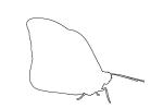 Butterfly outline, line drawing, shape, OECV04P01_06O