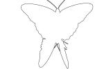 Butterfly outline, line drawing, shape, OECV04P01_16O