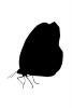 Butterfly silhouette, logo, shape, OECV04P01_19M