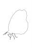Butterfly outline, line drawing, shape, OECV04P01_19O