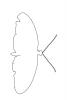 Butterfly outline, line drawing, shape, OECV04P02_07O