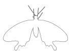 Butterfly outline, line drawing, shape, OECV04P02_12O