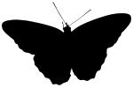 Butterfly silhouette, logo, shape, OECV04P02_13M
