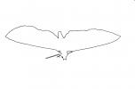 Butterfly outline, line drawing, shape, OECV04P09_14O