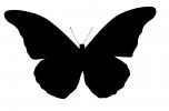 Butterfly Silhouette, logo, shape, OECV04P12_15M