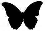 Butterfly Silhouette, logo, shape