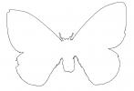 Moth Outline, line drawing, shape, OECV04P14_09O
