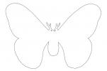 Moth outline, line drawing