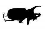 Hercules Beetle silhouette, shape