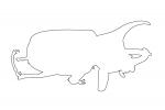 Hercules Beetle Line-drawing, outline, OEEV01P11_16O