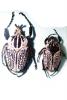 African Goliath Beetle, (Goliathus orientalus), Scarabaeidae, Cetoniinae, OEEV02P01_09