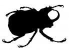 Rhinoceros Beetle silhouette, Shape, logo, (Eupatorus gracilicornis), Scarabaeidae, Dynastinae, OEEV02P02_08M