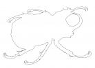 Rhinoceros Beetle outline, line drawing, (Eupatorus gracilicornis), Scarabaeidae, Dynastinae, OEEV02P02_08O