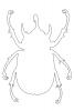 Rhinoceros Beetle outline, line drawing, (Eupatorus gracilicornis), Scarabaeidae, Dynastinae, OEEV02P02_10O