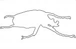 African Goliath Beetle Line-drawing, outline, shape, (Goliathus giganteus), Scarabaeidae, Cetoniinae, OEEV02P05_06O
