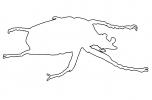 African Goliath Beetle Line-drawing, outline, (Goliathus giganteus), Scarabaeidae, Cetoniinae, logo, shape, OEEV02P05_07O