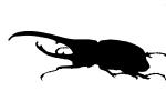 Hercules Beetle Silhouette, (Dynastes hercules), Scarabaeidae, Dynastinae, horns, logo, shape, OEEV02P05_12M