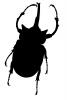 Elephant Beetle Silhouette, (Megasoma elephas), Scarabaeidae, Dynastinae, horn, logo, shape, OEEV02P05_17M