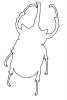 Elephant Beetle Line-drawing, outline, (Megasoma elephas), Scarabaeidae, Dynastinae, horn, logo, shape, OEEV02P05_17O