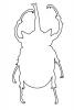 Elephant Beetle, (Megasoma elephas) Line-drawing, outline, Scarabaeidae, Dynastinae, horn, logo, OEEV02P05_18O
