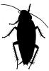 American Cockroach Silhouette, logo, shape, OEGV02P04_07M