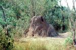 Termite Mound, Hill, OEIV01P01_06