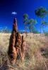 Termite Mound, Hill, OEIV01P01_12