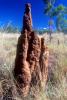 Termite Mound, Hill, OEIV01P01_12B