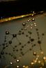 Early Morning Dew Drops on a Spider web, Neurons, OESD01_194